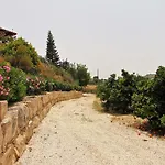 Golden Valley Skoulli
