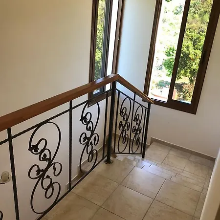 Golden Valley * Skoulli