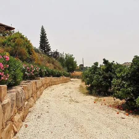 Golden Valley Skoulli