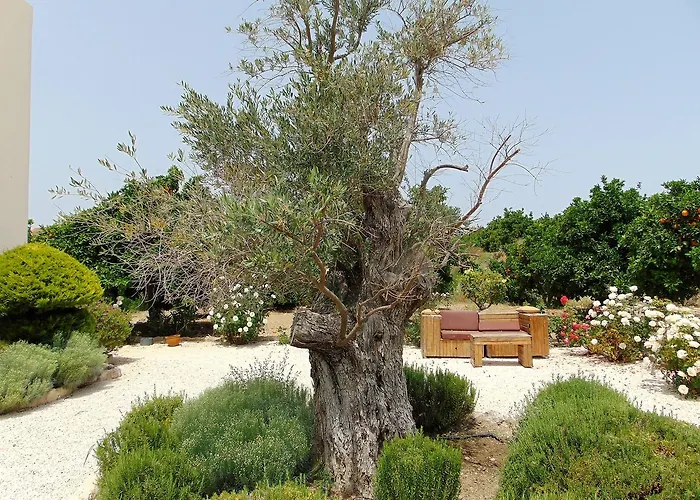 Golden Valley * Σκούλλι