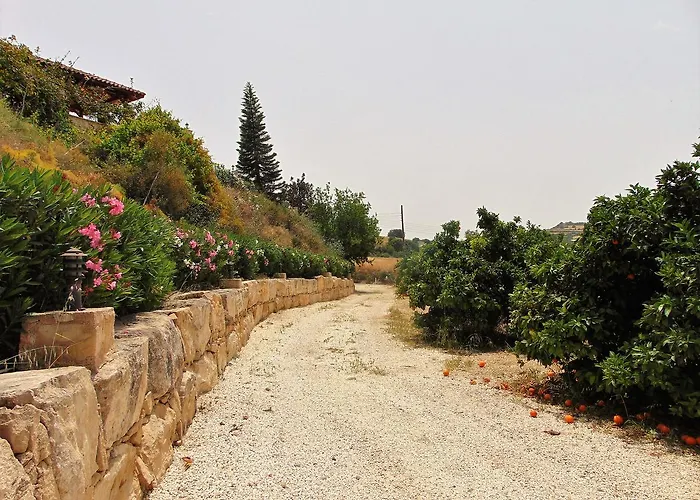 Golden Valley Σκούλλι